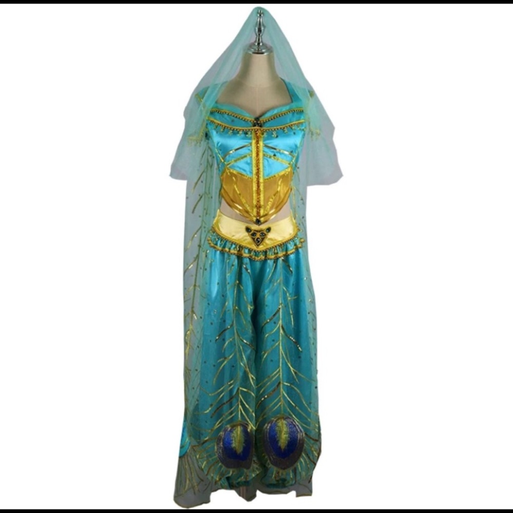 Jasmine Adult Handmade Costume